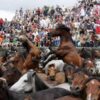 Gonzalo Louzao: “A Rapa das Bestas é unha festa ancestral que chegou ata nós practicamente intacta”