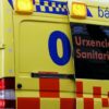 Falece un operario tras caerlle unha árbore enriba en Outes
